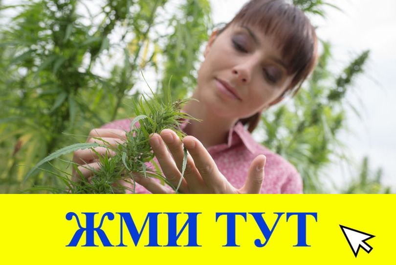 Купить наркотики в Курчатове